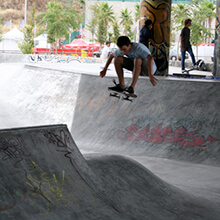 Guillermo J. Puya, Ollie - Photo: Albert Crespi