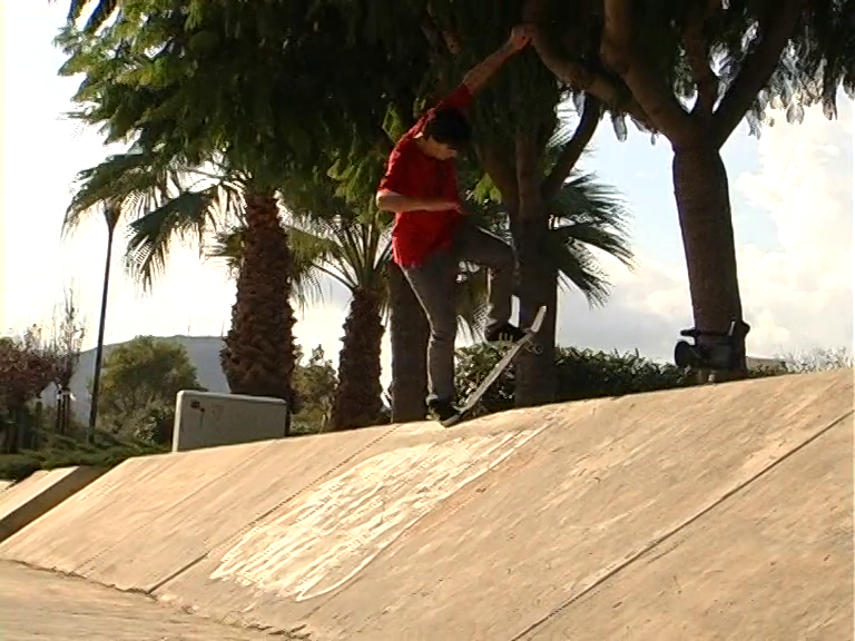 Alcudia banks Compilation 2006-2021